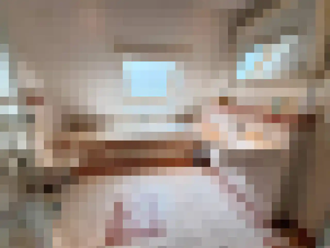 Wyler 10 Berg en Dal thumbnail 20
