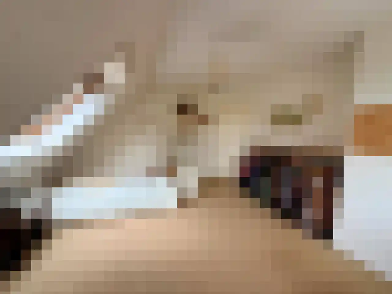 Wyler 10 Berg en Dal thumbnail 23