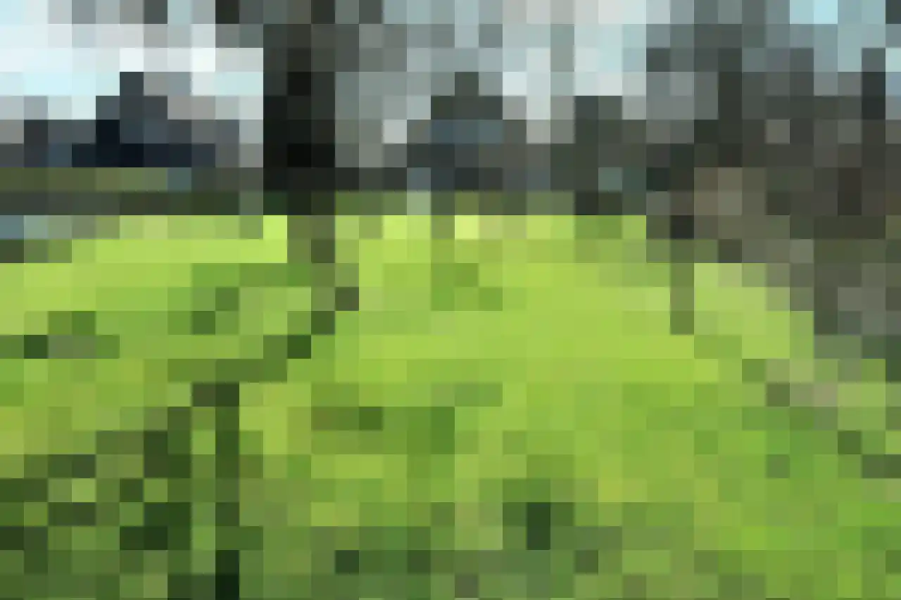Wyler 10 Berg en Dal thumbnail 23