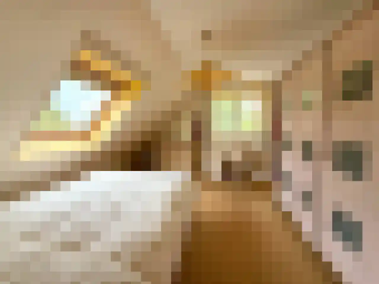 Wyler 10 Berg en Dal thumbnail 24