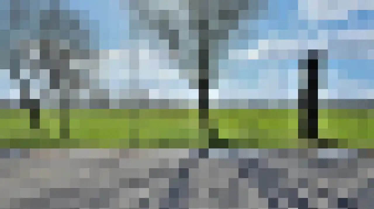 Wyler 10 Berg en Dal thumbnail 25