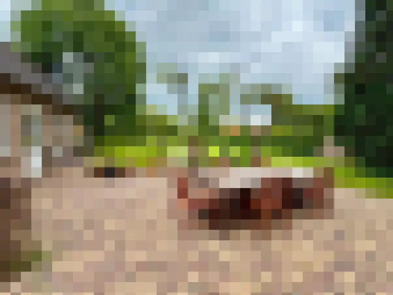 Wyler 10 Berg en Dal thumbnail 26