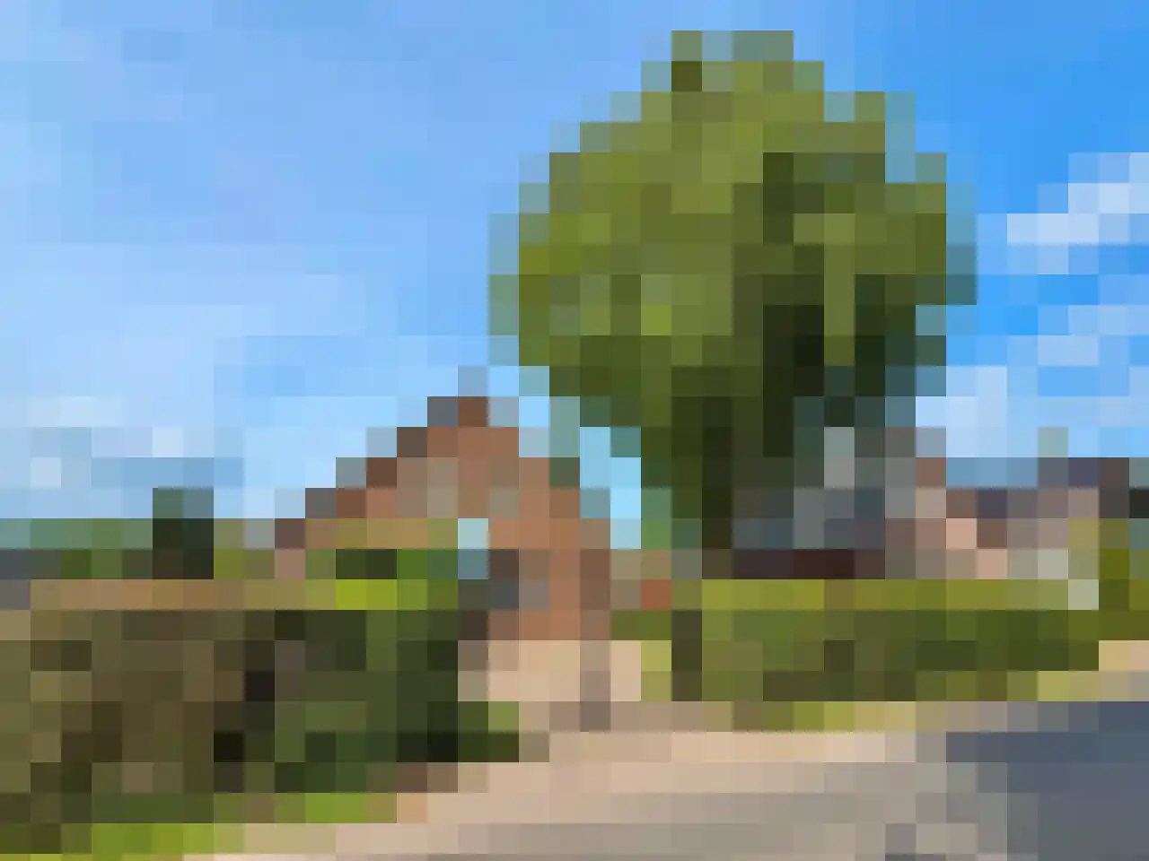 Wyler 10 Berg en Dal thumbnail 27