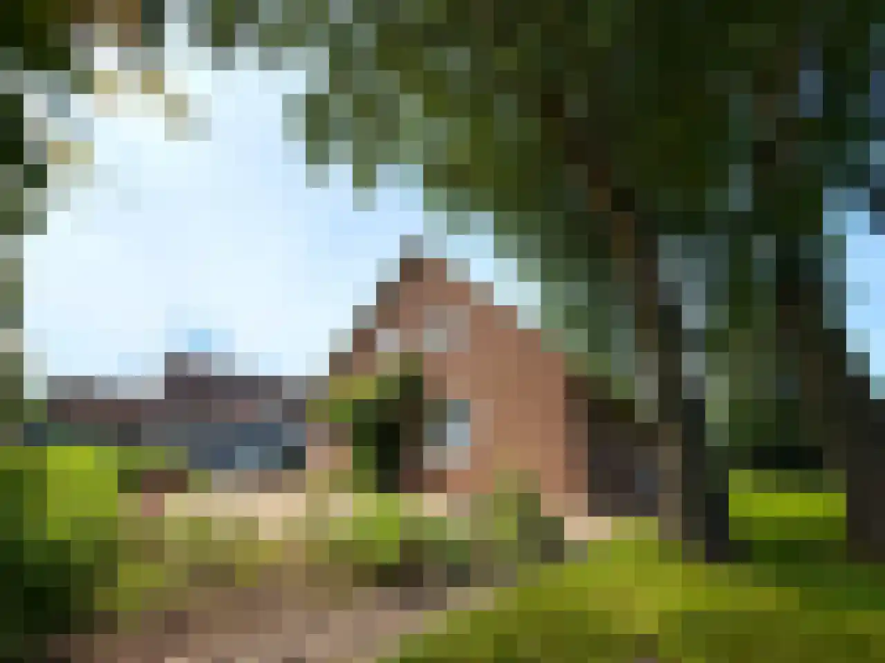 Wyler 10 Berg en Dal thumbnail 29