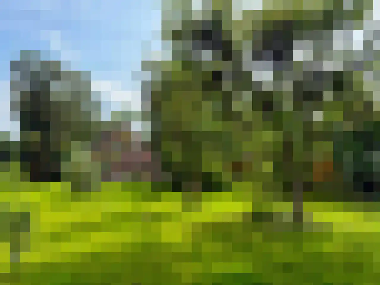 Wyler 10 Berg en Dal thumbnail 30