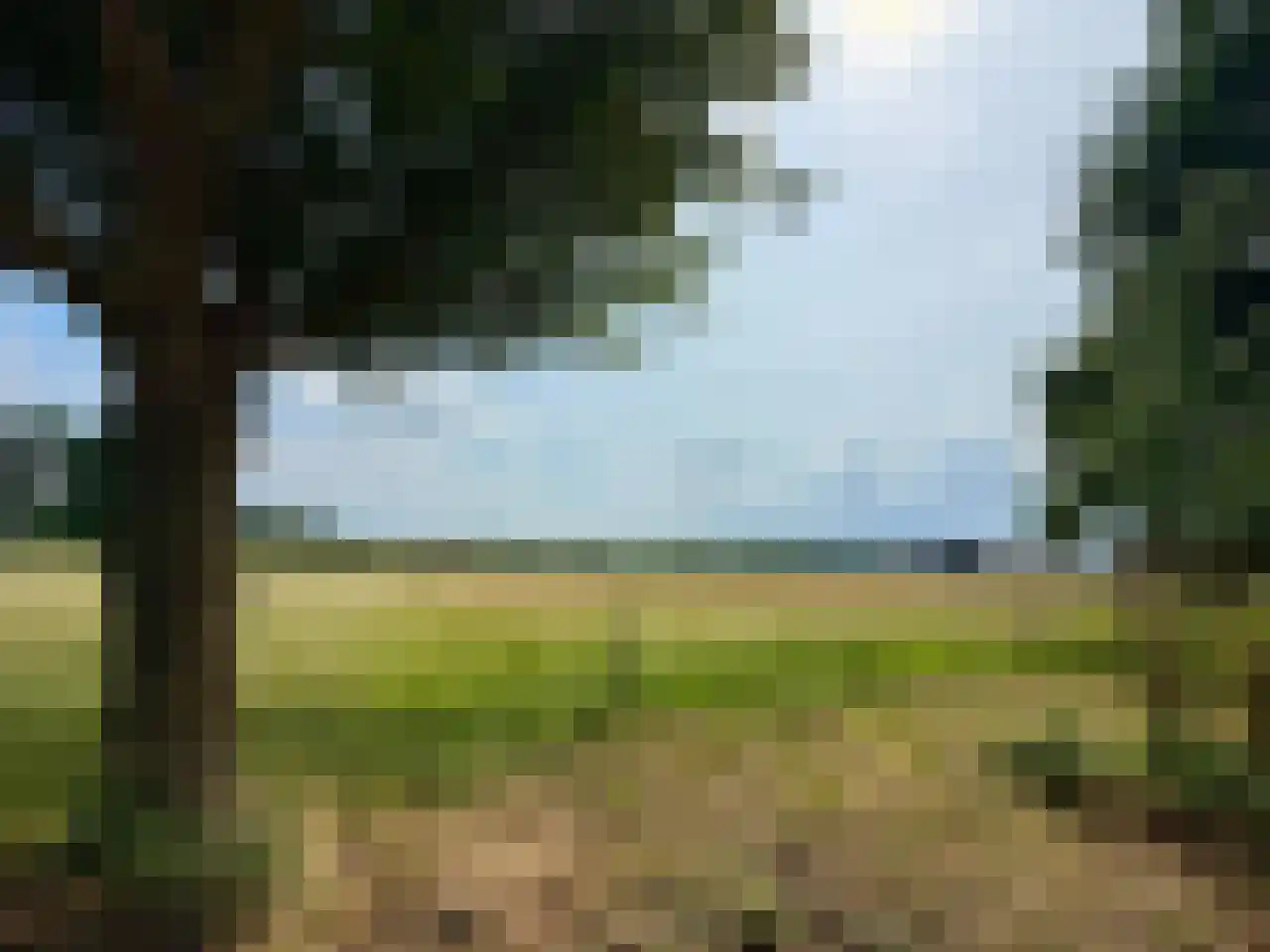 Wyler 10 Berg en Dal thumbnail 32