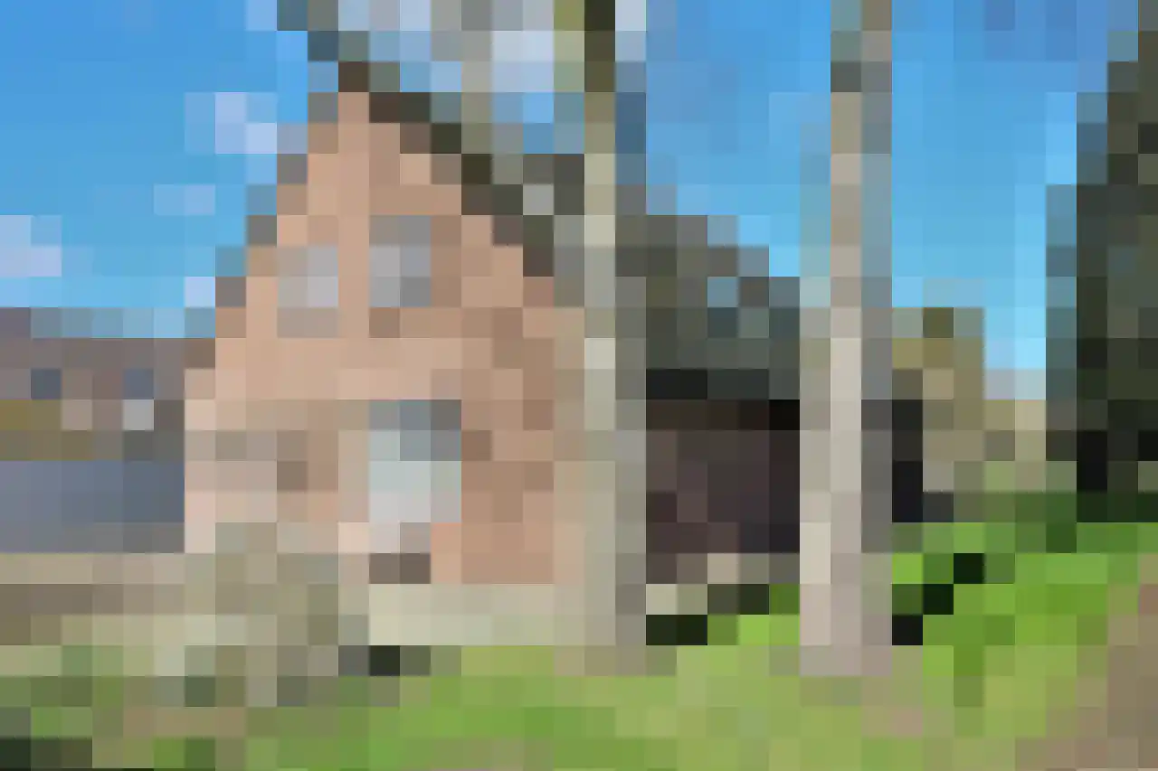 Wyler 10 Berg en Dal thumbnail 4