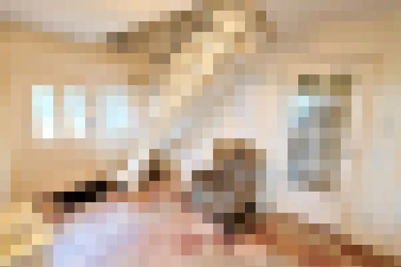 Wyler 10 Berg en Dal thumbnail 5