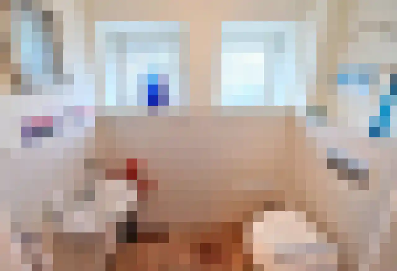 Wyler 10 Berg en Dal thumbnail 6