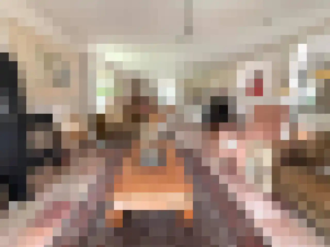 Wyler 10 Berg en Dal thumbnail 6