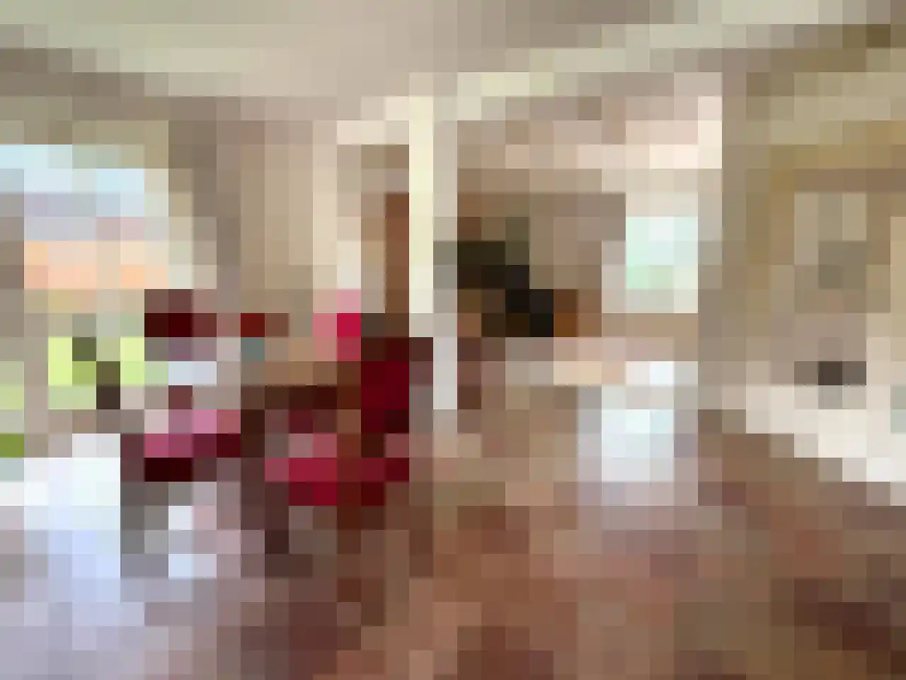 Wyler 10 Berg en Dal thumbnail 7