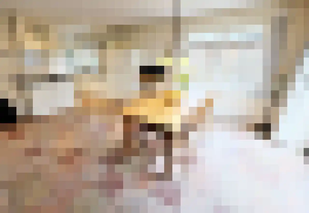 Wyler 10 Berg en Dal thumbnail 9