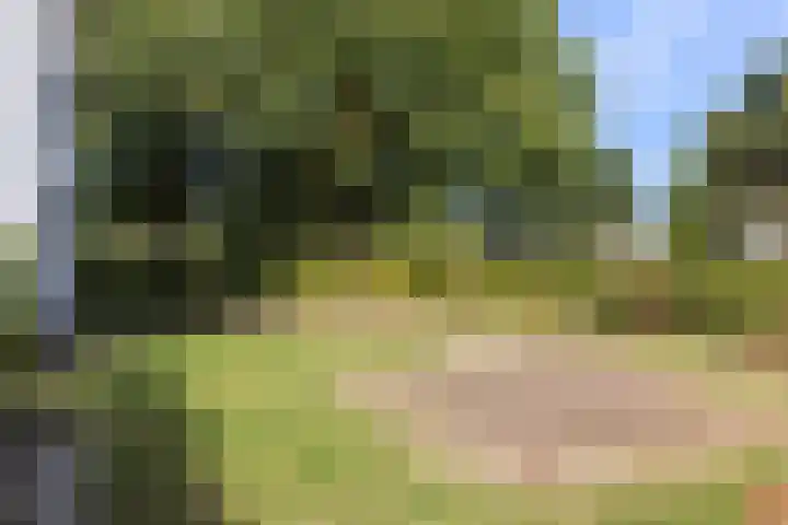 Wylerbaan 7 a Groesbeek thumbnail 12