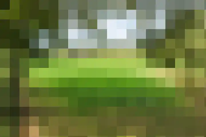 Wylerbaan 7 a Groesbeek thumbnail 36