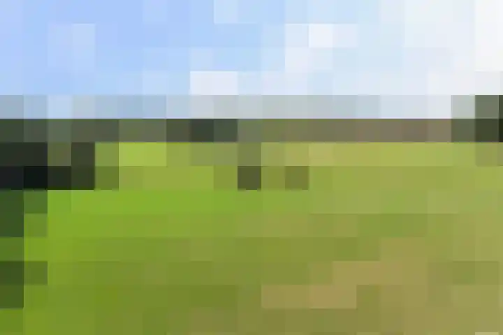 Wylerbaan 7 a Groesbeek thumbnail 37