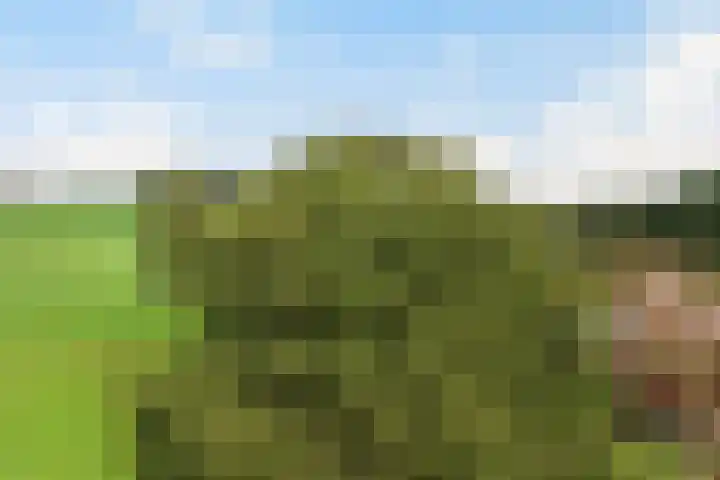 Wylerbaan 7 a Groesbeek thumbnail 38