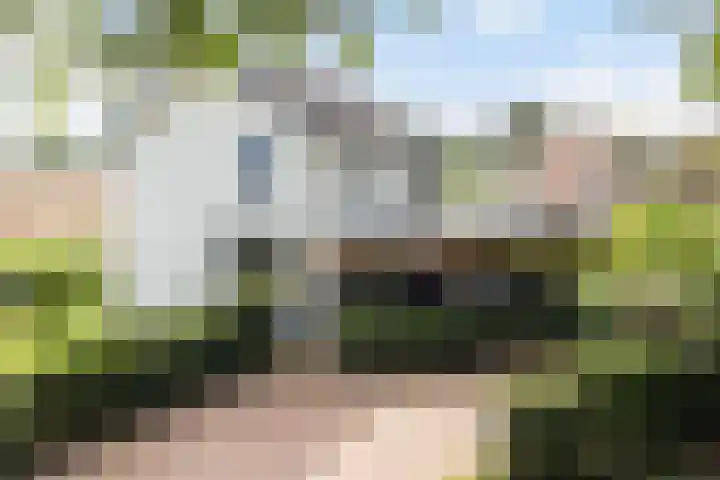 Wylerbaan 7 a Groesbeek thumbnail 4