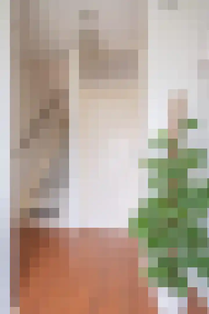 Wylgekamp 21 Tytsjerk thumbnail 11