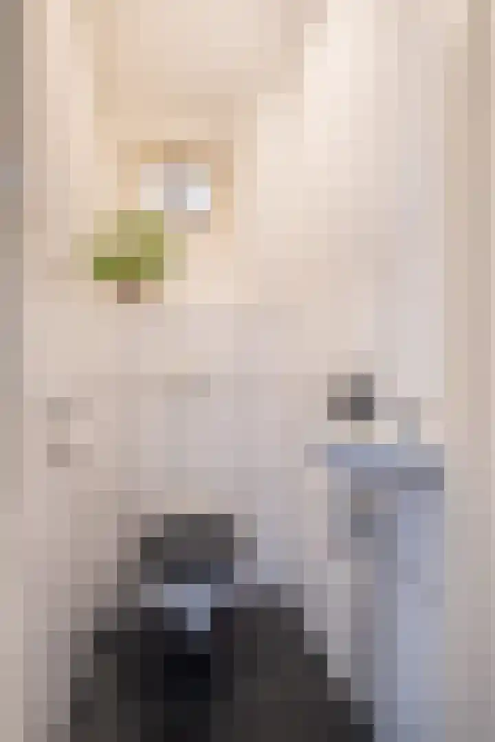 Wylgekamp 21 Tytsjerk thumbnail 13