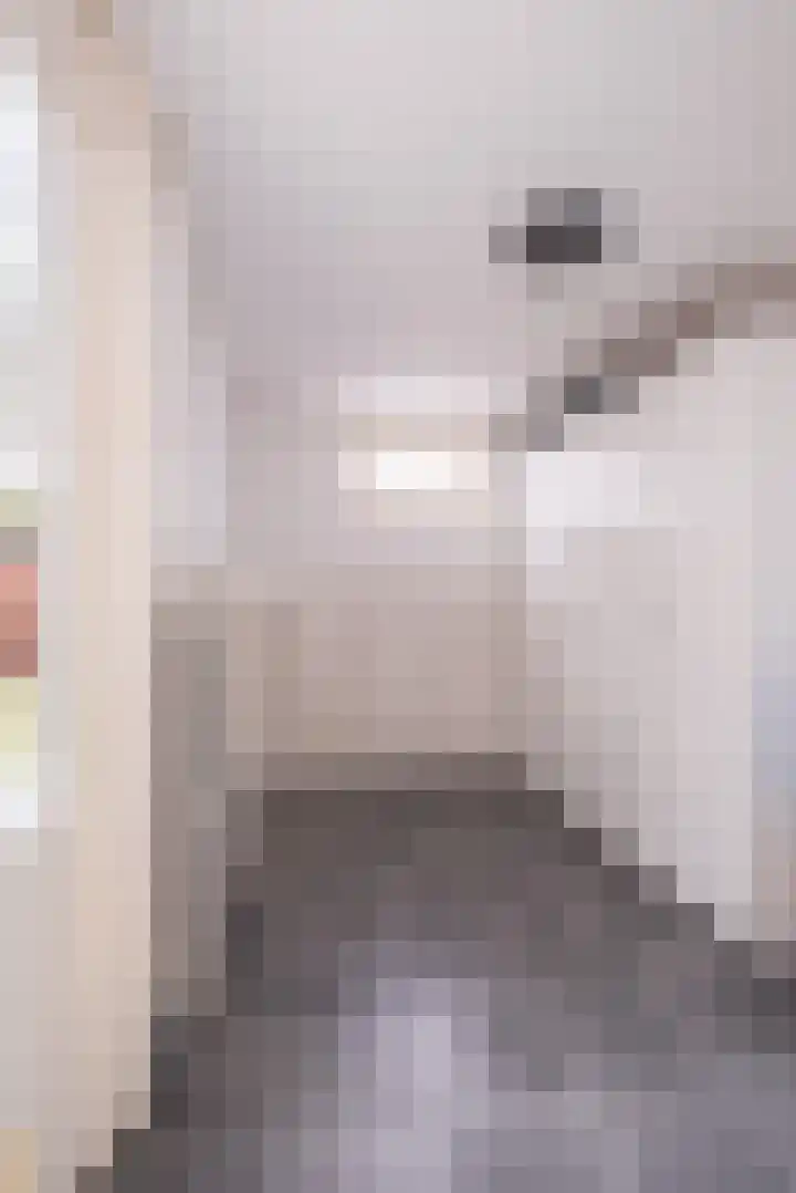 Wylgekamp 21 Tytsjerk thumbnail 24