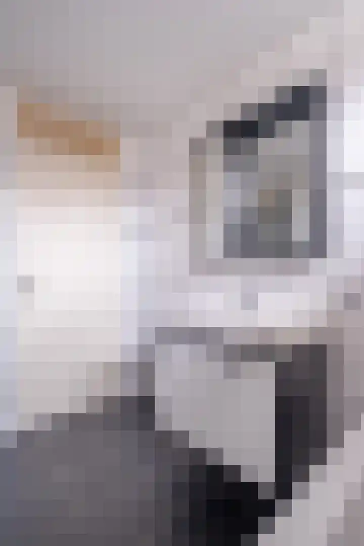 Wylgekamp 21 Tytsjerk thumbnail 36