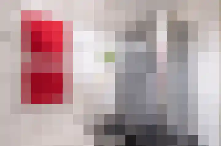 Wylgekamp 21 Tytsjerk thumbnail 37