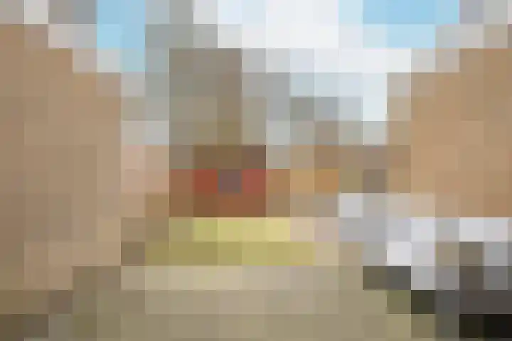Wylgekamp 21 Tytsjerk thumbnail 41