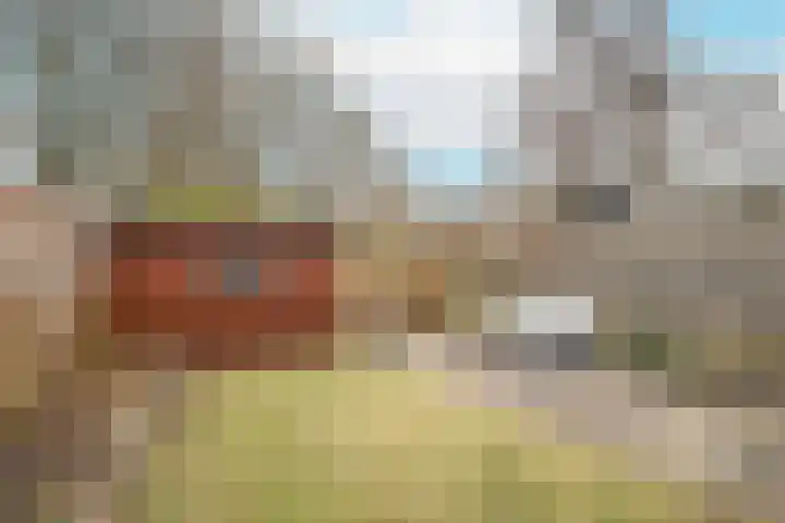 Wylgekamp 21 Tytsjerk thumbnail 42