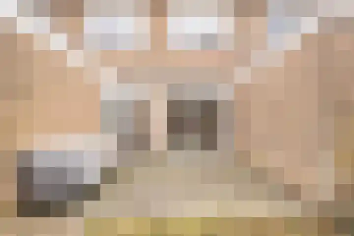 Wylgekamp 21 Tytsjerk thumbnail 44