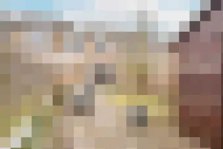 Wylgekamp 21 Tytsjerk thumbnail 46