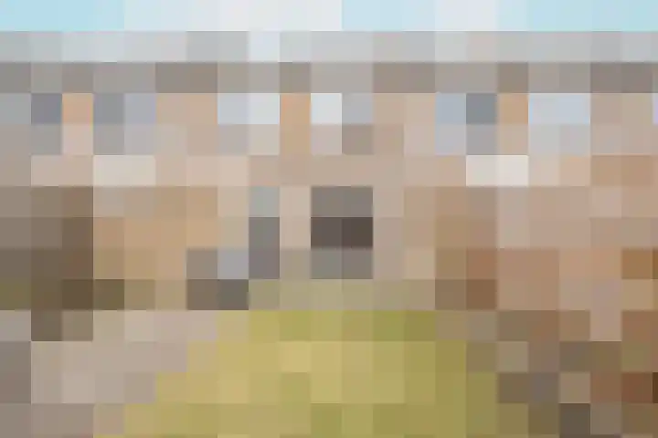 Wylgekamp 21 Tytsjerk thumbnail 5