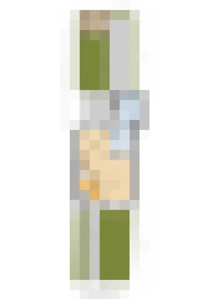 Wylgekamp 21 Tytsjerk thumbnail 55