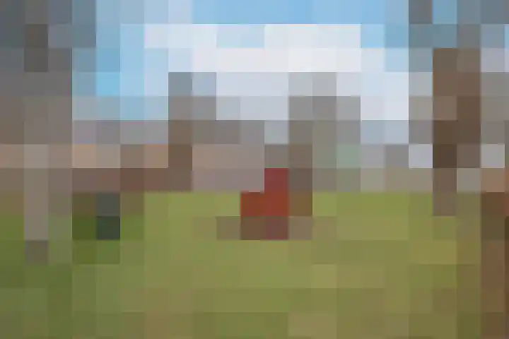 Wylgekamp 21 Tytsjerk thumbnail 9