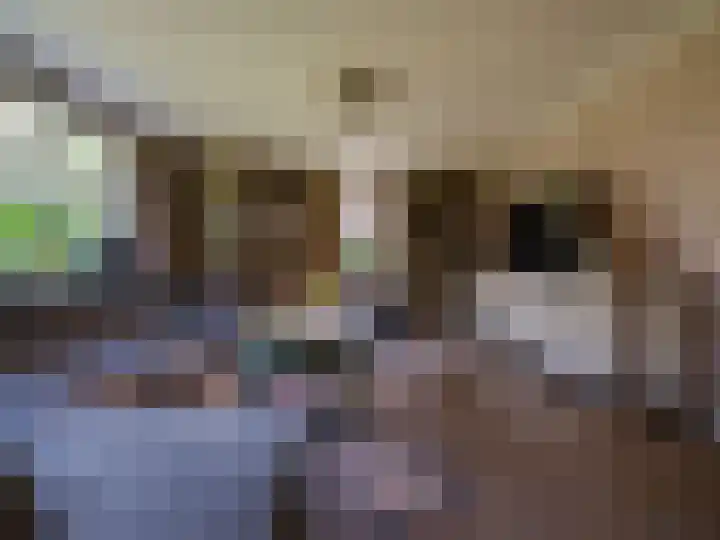 Wylgestrjitte 3 Lemmer thumbnail 13