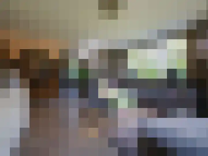 Wylgestrjitte 3 Lemmer thumbnail 14