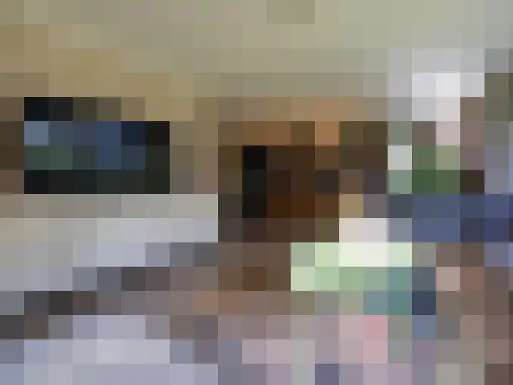 Wylgestrjitte 3 Lemmer thumbnail 15