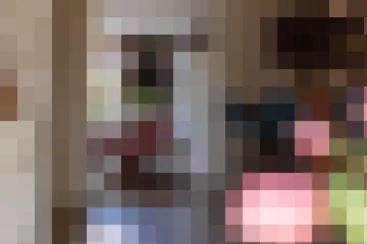 Wylgestrjitte 3 Lemmer thumbnail 17