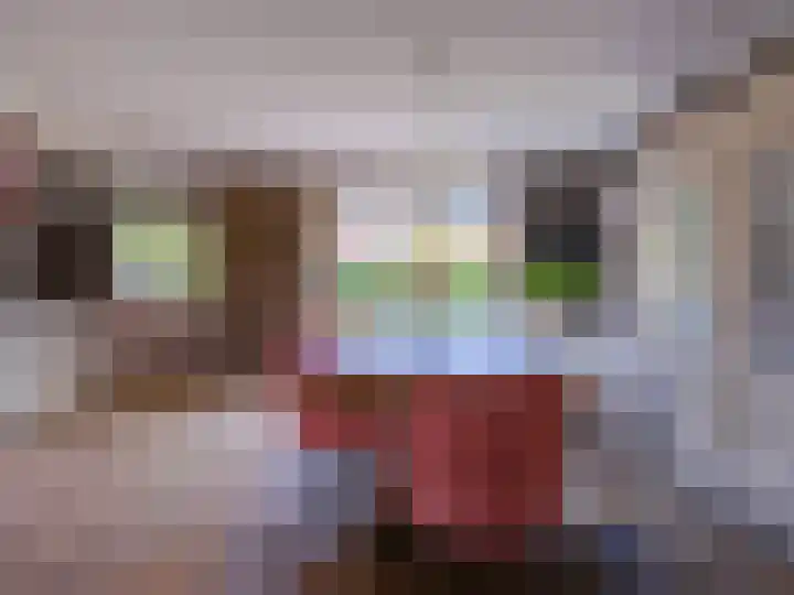 Wylgestrjitte 3 Lemmer thumbnail 19