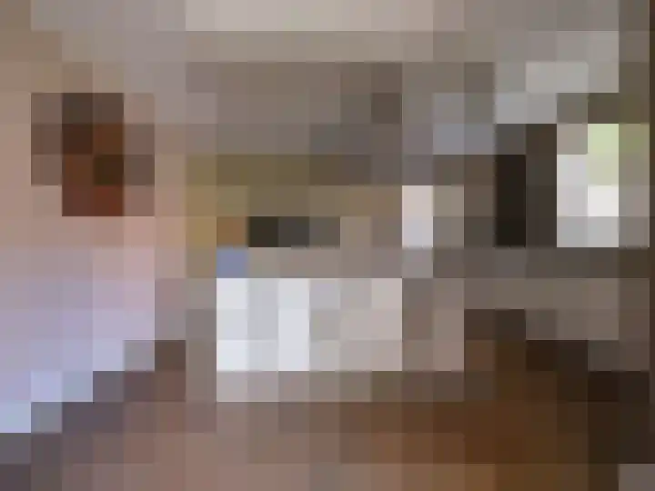 Wylgestrjitte 3 Lemmer thumbnail 21
