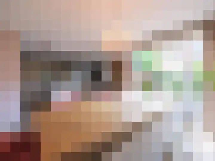 Wylgestrjitte 3 Lemmer thumbnail 25