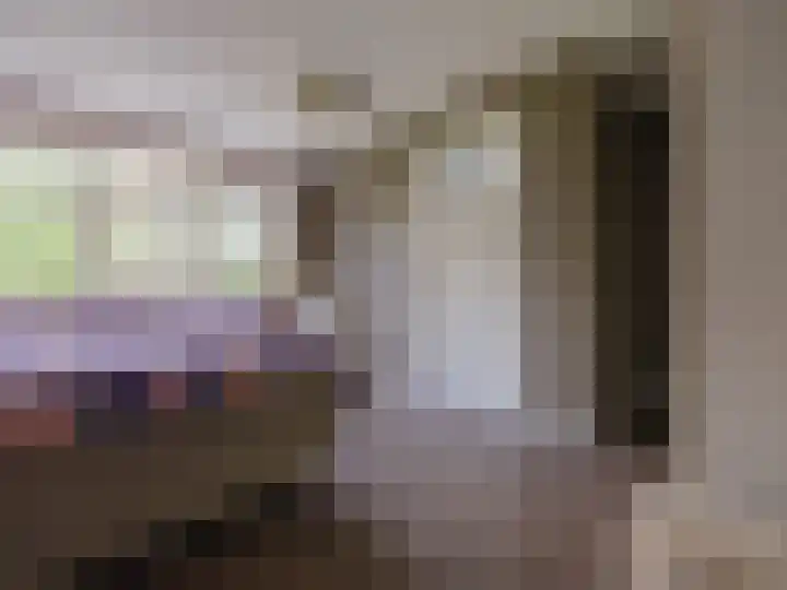 Wylgestrjitte 3 Lemmer thumbnail 29