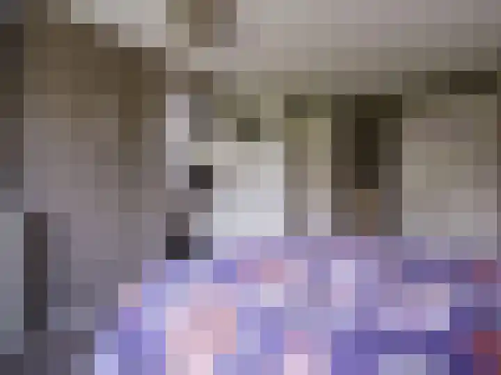 Wylgestrjitte 3 Lemmer thumbnail 31