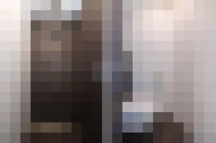 Wylgestrjitte 3 Lemmer thumbnail 37