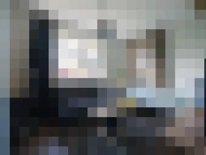 Wylgestrjitte 3 Lemmer thumbnail 38