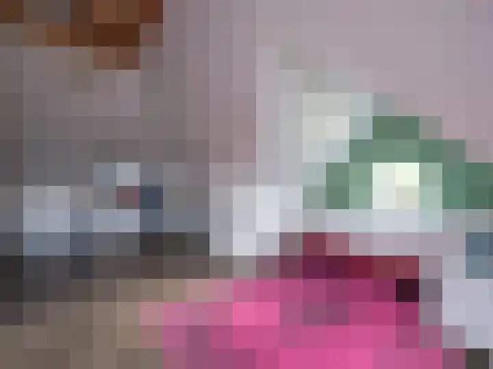 Wylgestrjitte 3 Lemmer thumbnail 48