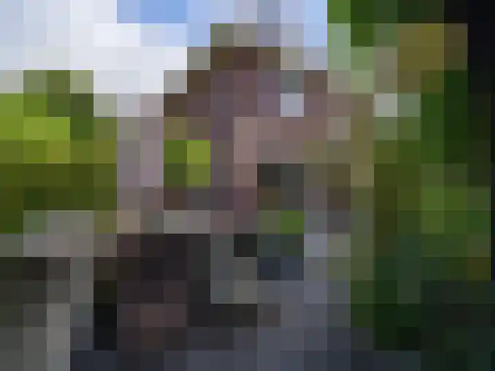 Wylgestrjitte 3 Lemmer thumbnail 49