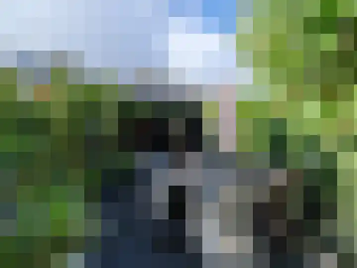 Wylgestrjitte 3 Lemmer thumbnail 50