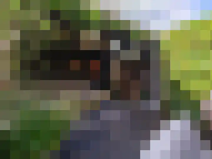 Wylgestrjitte 3 Lemmer thumbnail 51