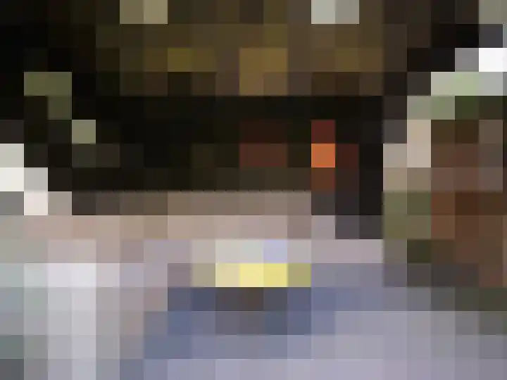 Wylgestrjitte 3 Lemmer thumbnail 52