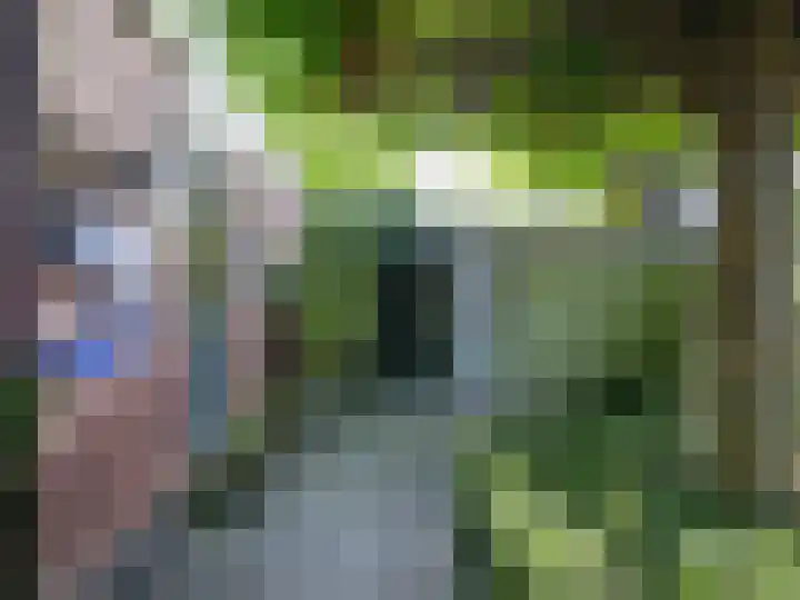 Wylgestrjitte 3 Lemmer thumbnail 55